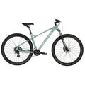 HARO Double Peak 29 Trail Sage/Black