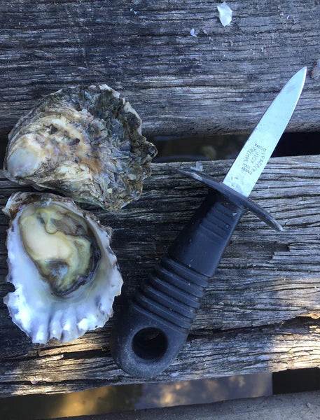 OZFLEX Oyster Knife