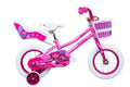 RADIUS Pixie 16 Gloss Pink/Dark Pink