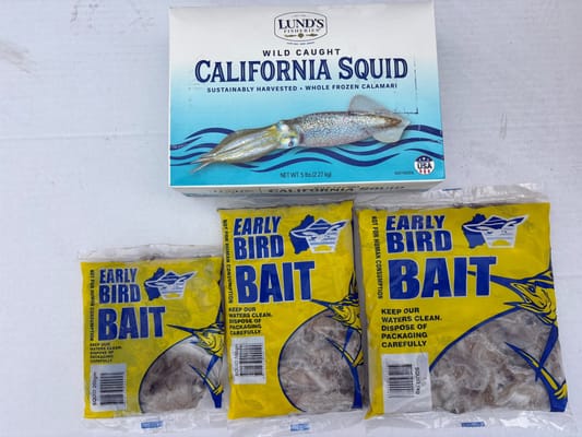 EARLY BIRD BAIT Squid 1kg
