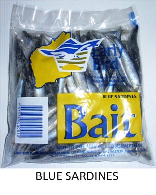 EARLY BIRD BAIT Blue Bait 200g