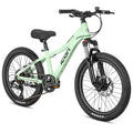 ICON Freedom 20" Mint