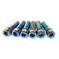 PK CYCLES Stem Bolts 6pk Oil Slick